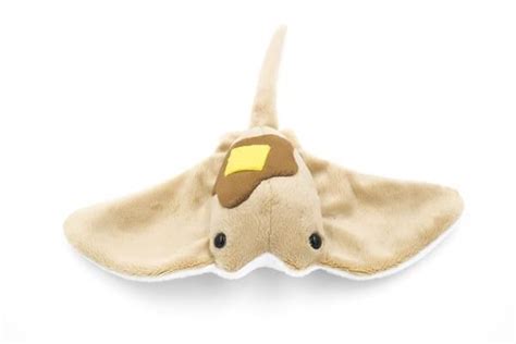 pancake stuffed toy|sea pancake plushies.